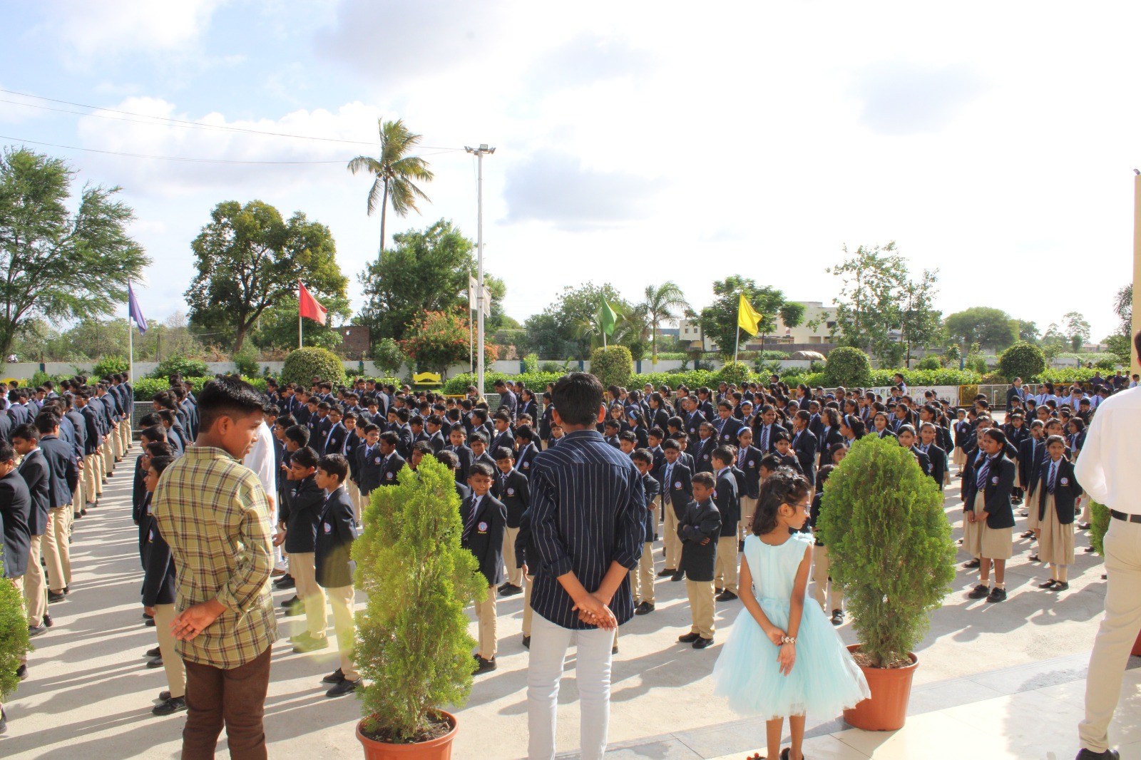 "Plate Signature Parli D/P 11"""