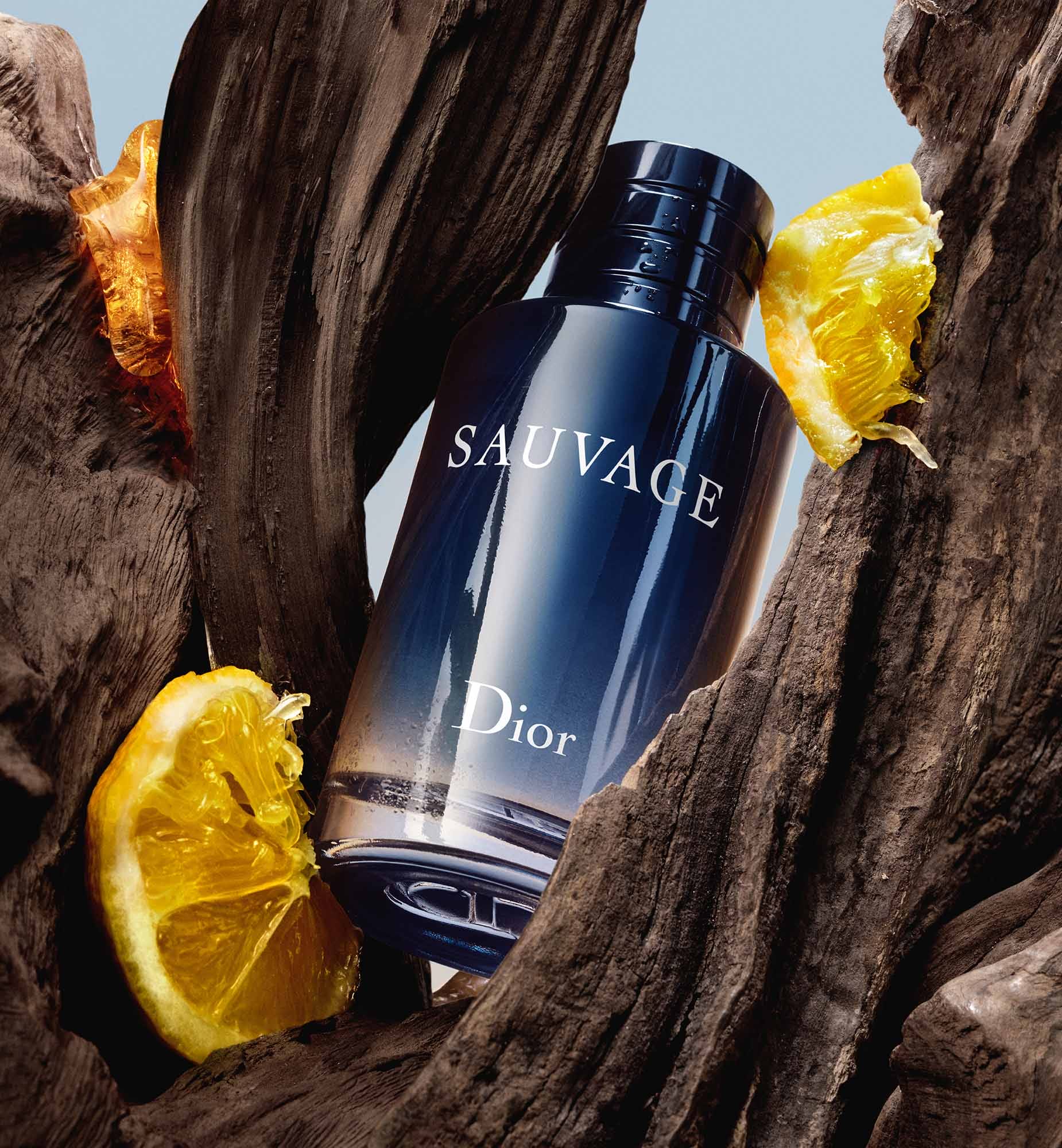 Sauvage Perfume 100Ml