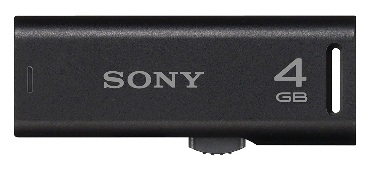 Sony Flash Disk