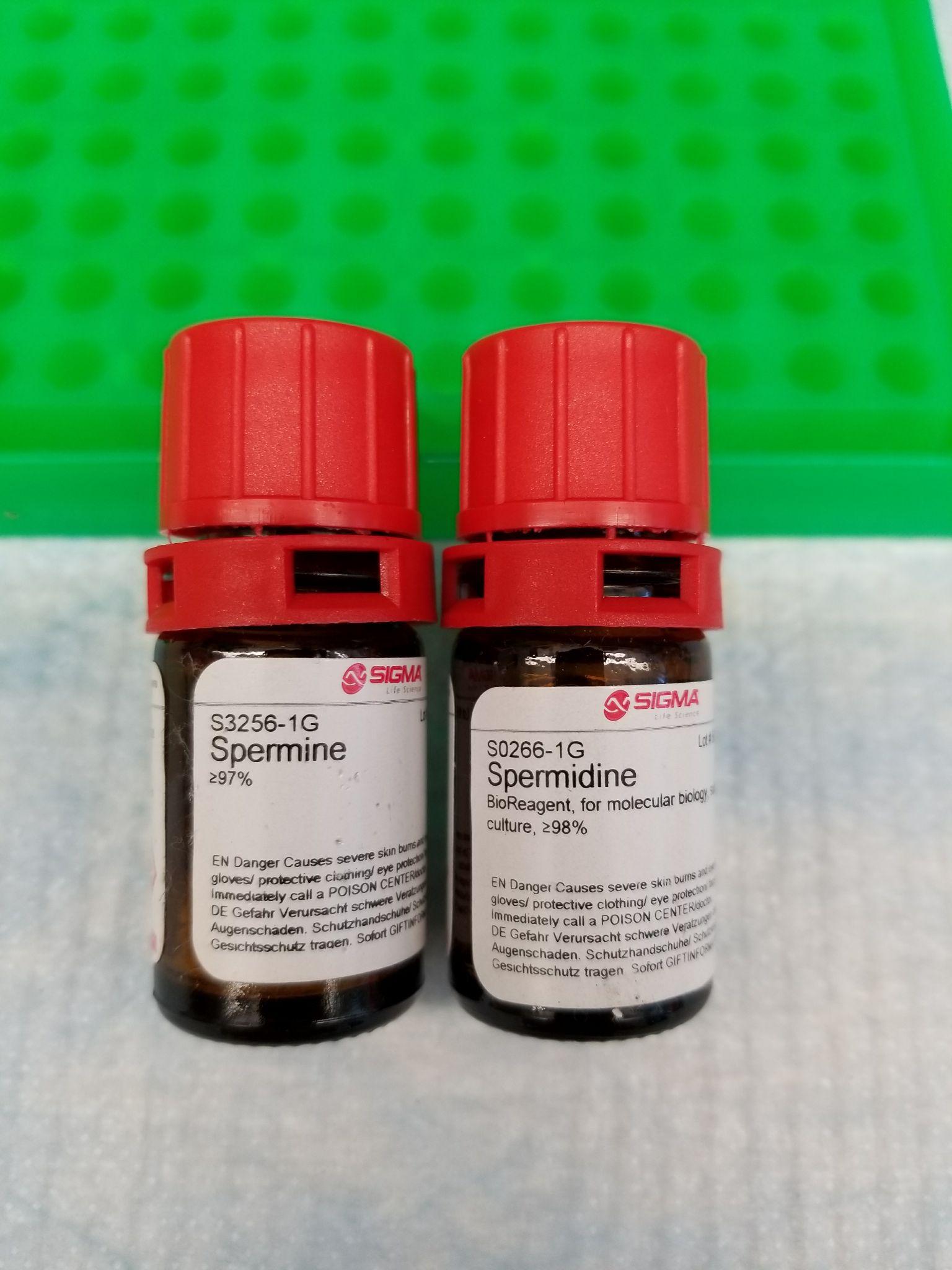 Spay Perf.nbc 4 100Ml
