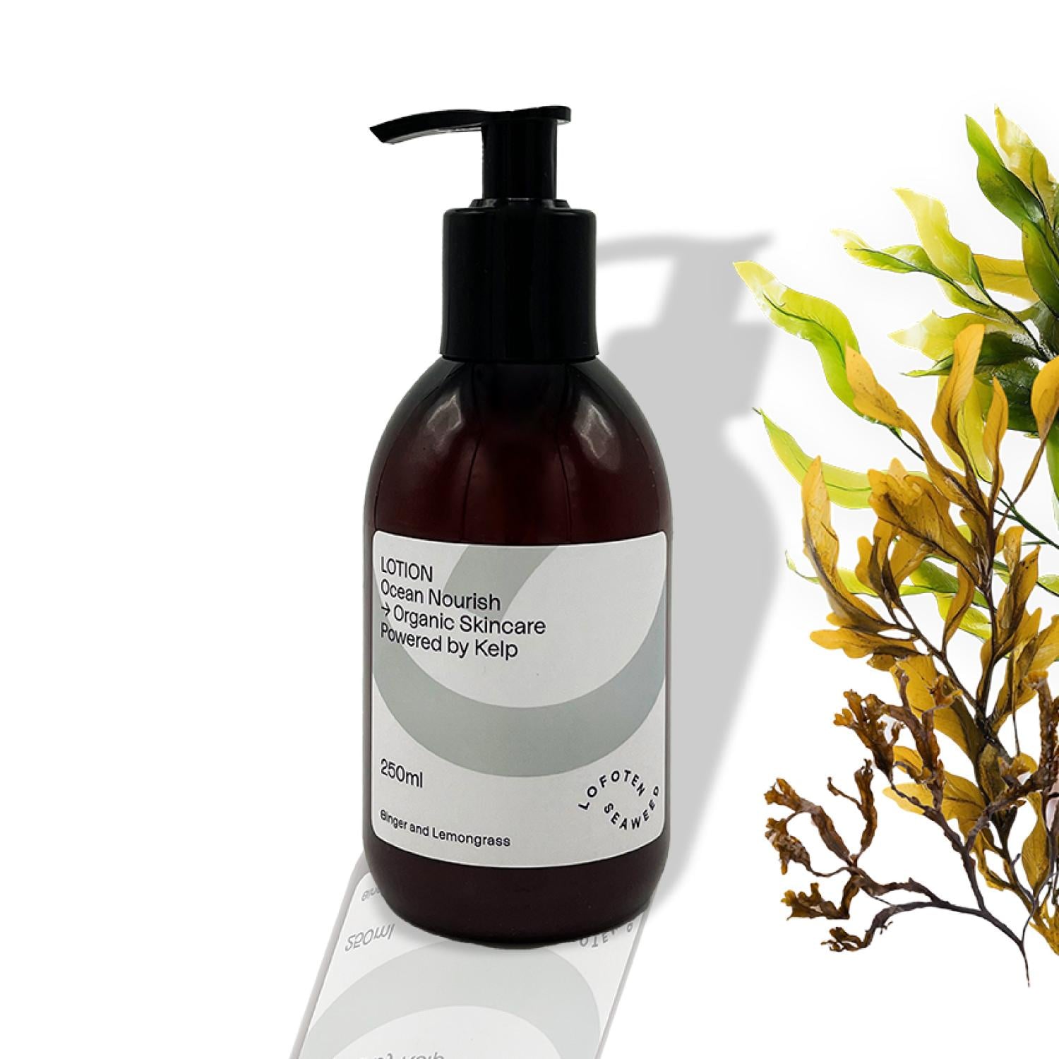 Tree City Hand And Body Lotion 500Ml