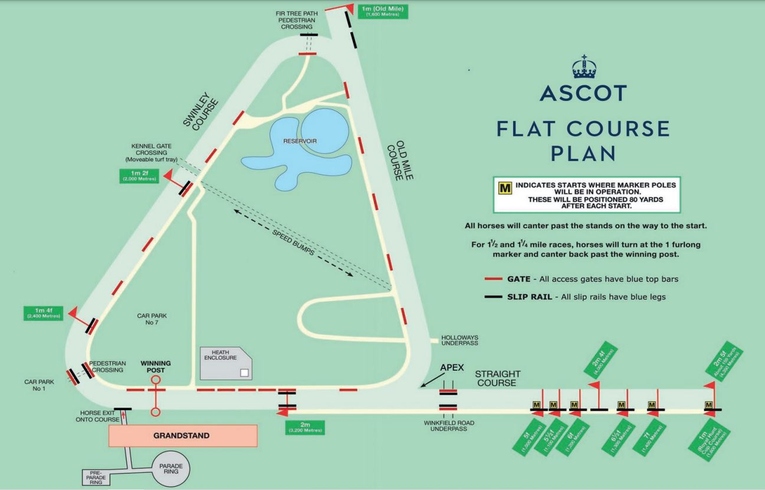 Ascot Flat Square As-18