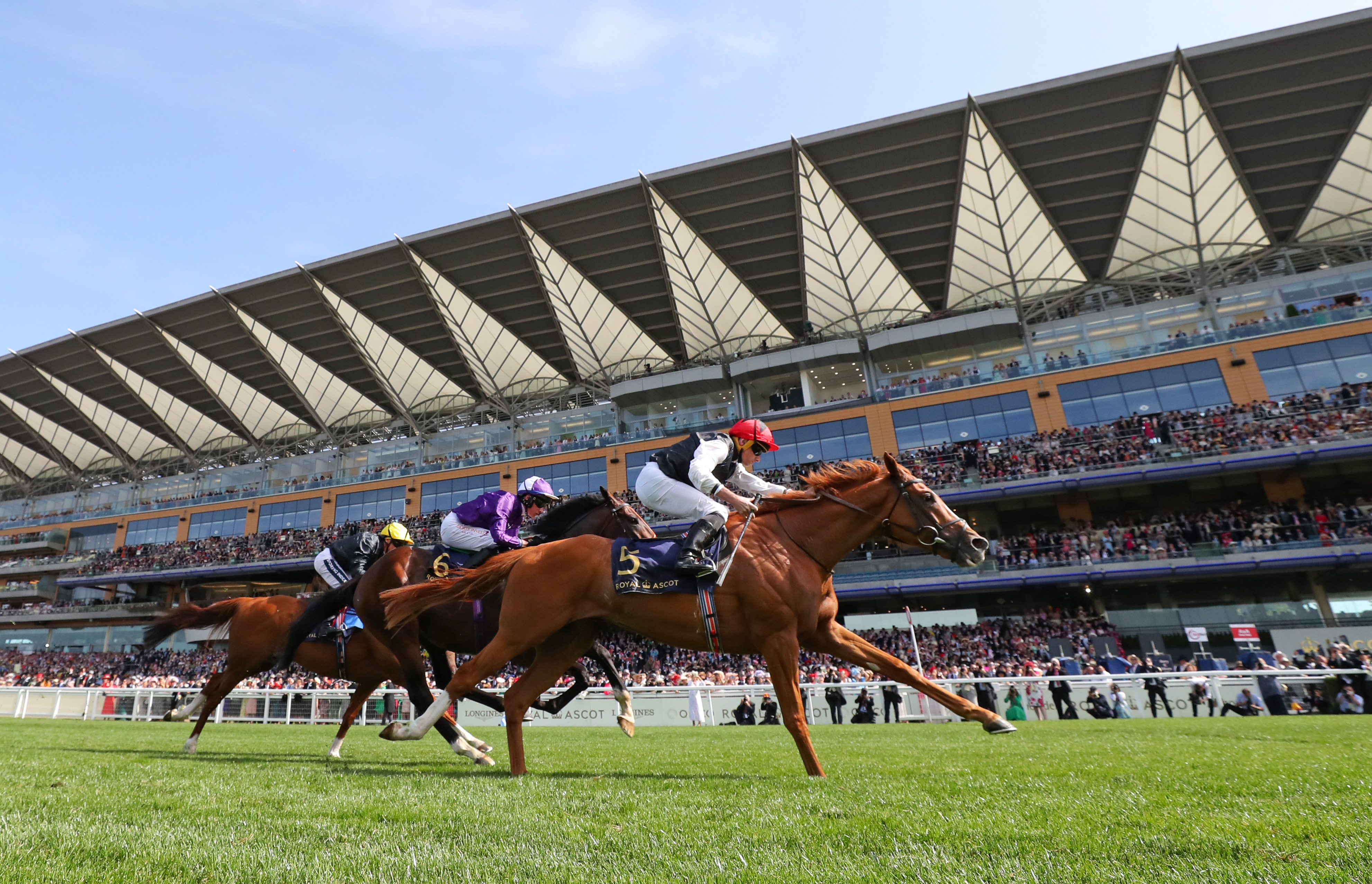Ascot Modern Cup As-08