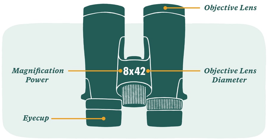 Binoculars Magnification