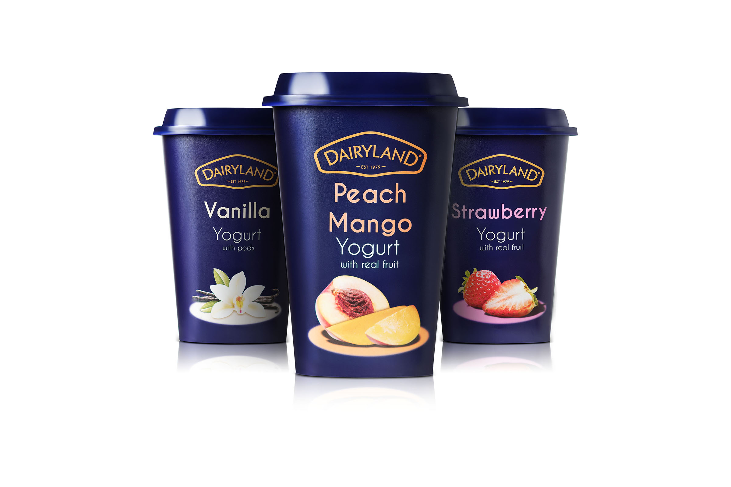 Dairyland Yogurt Assorted 450G