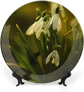 Diva Deco D/Plate 10 Inc. Snowdrops 250Mm