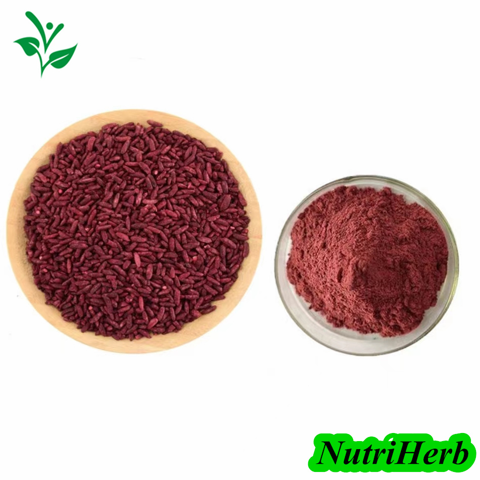 Monsai Food Colour 10Gm