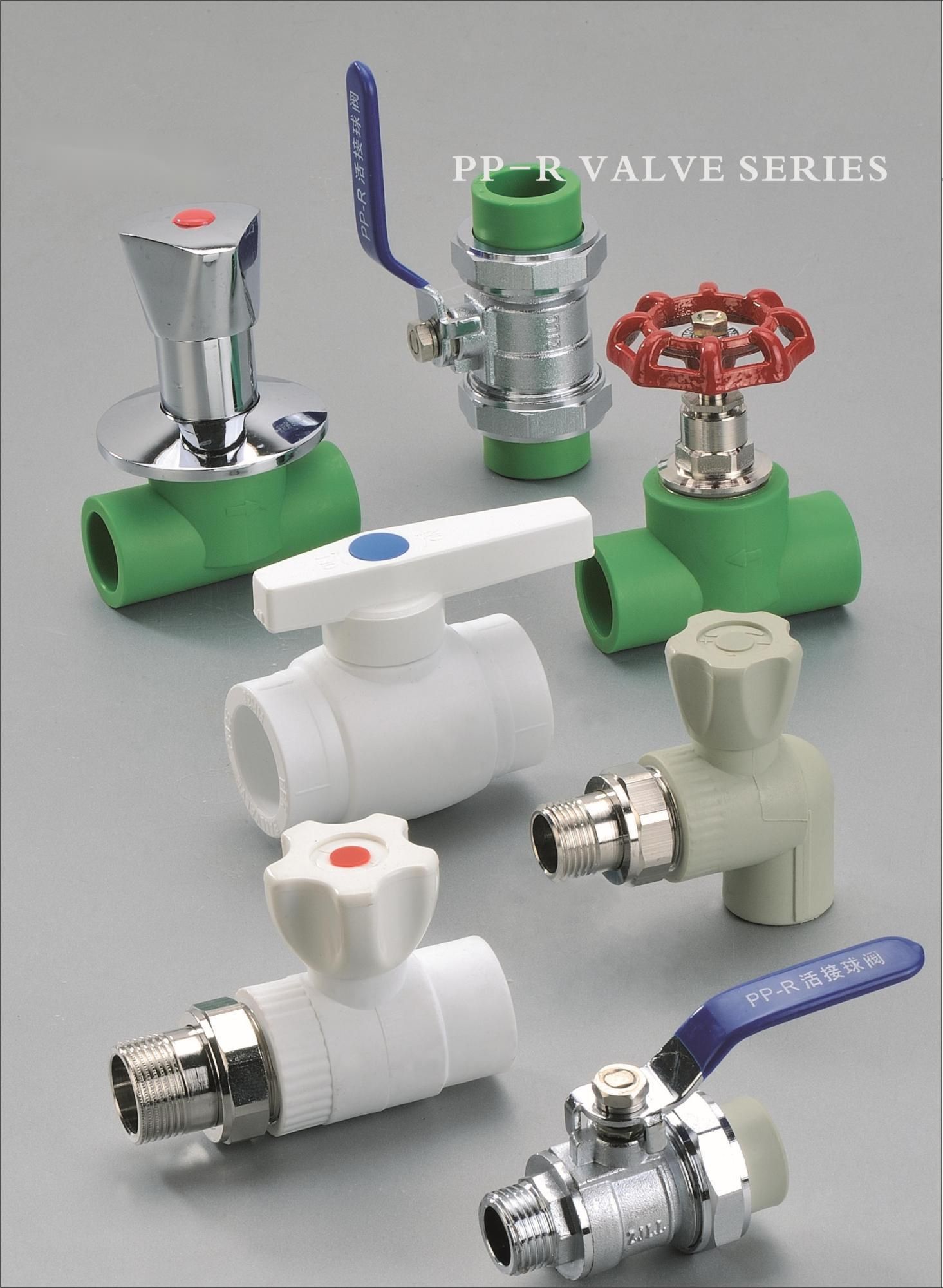 Pp-R Valve