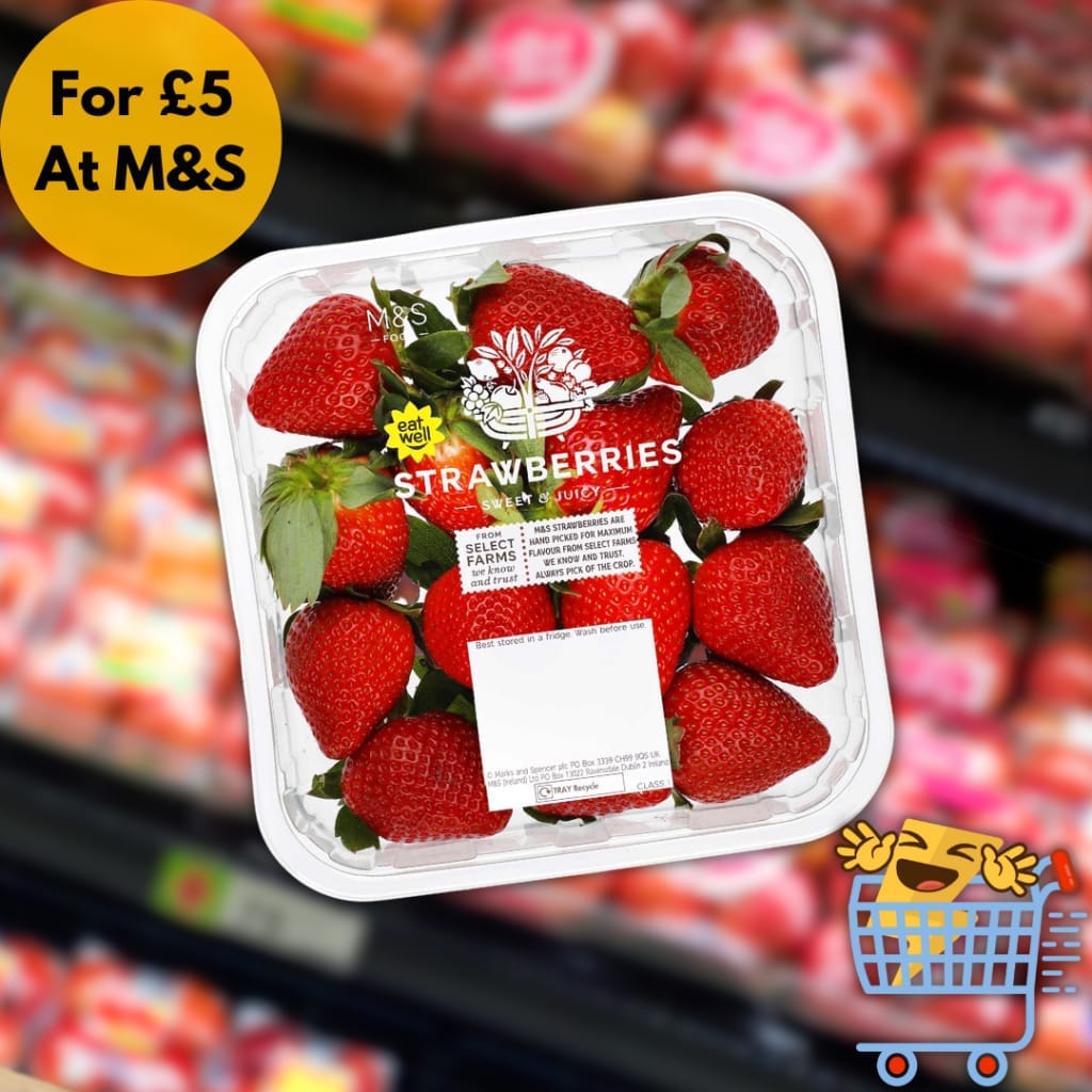 S.strawberry 1.5Ltrs