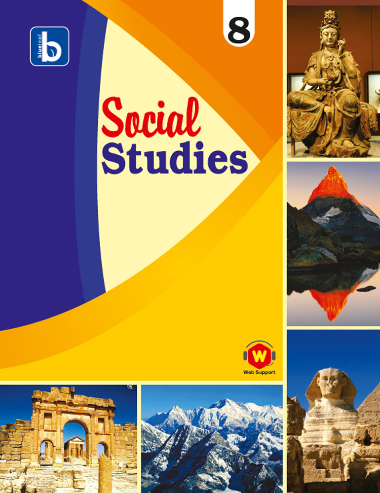 S.studies Std 8