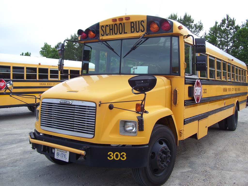School Bus 303 Car