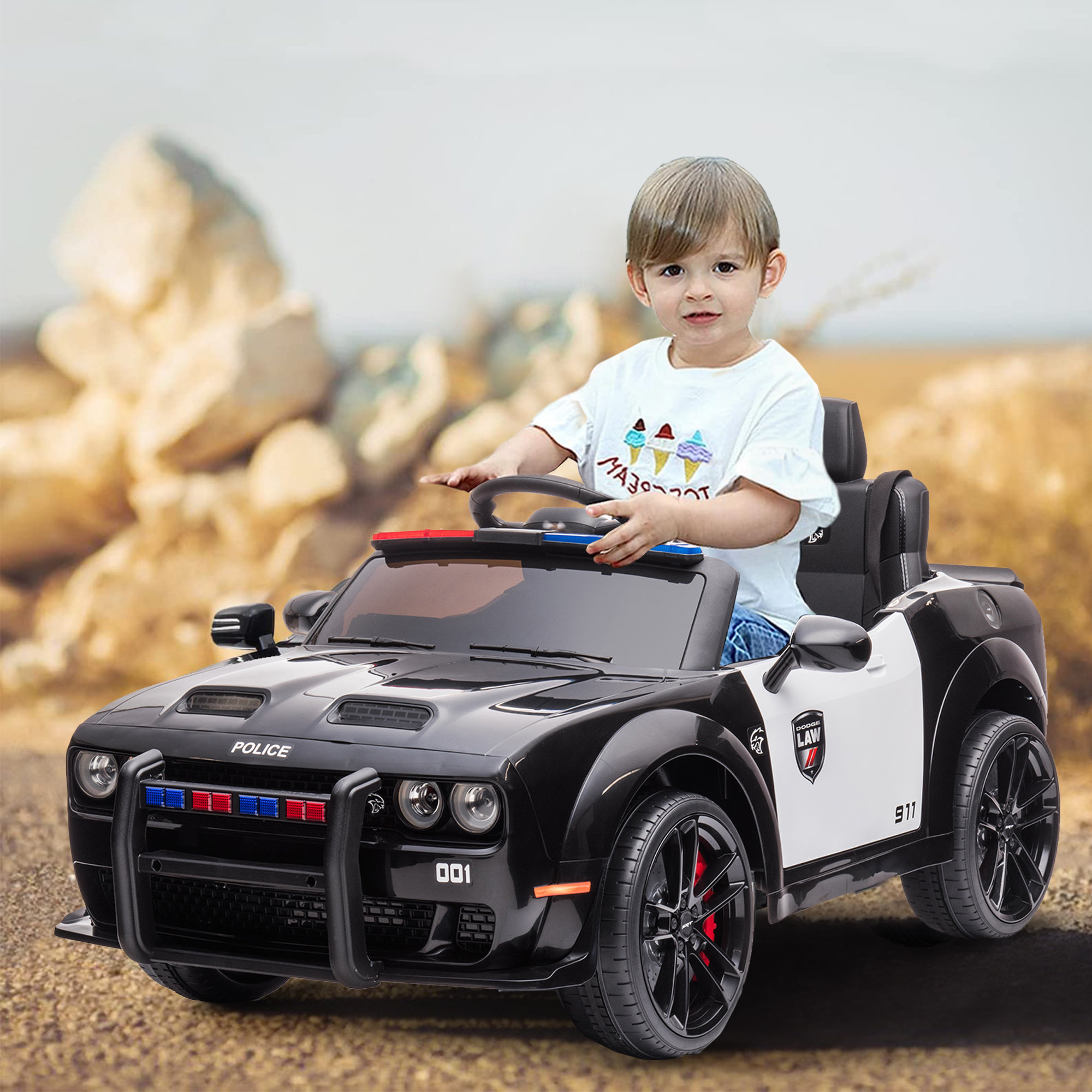 Toy Car Battery