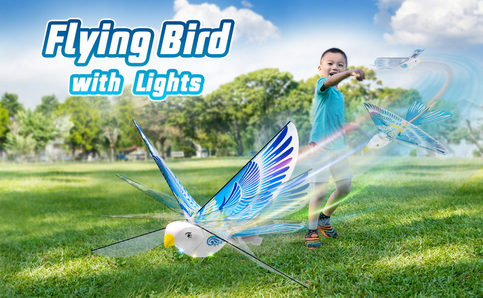 Fly Bird Toy