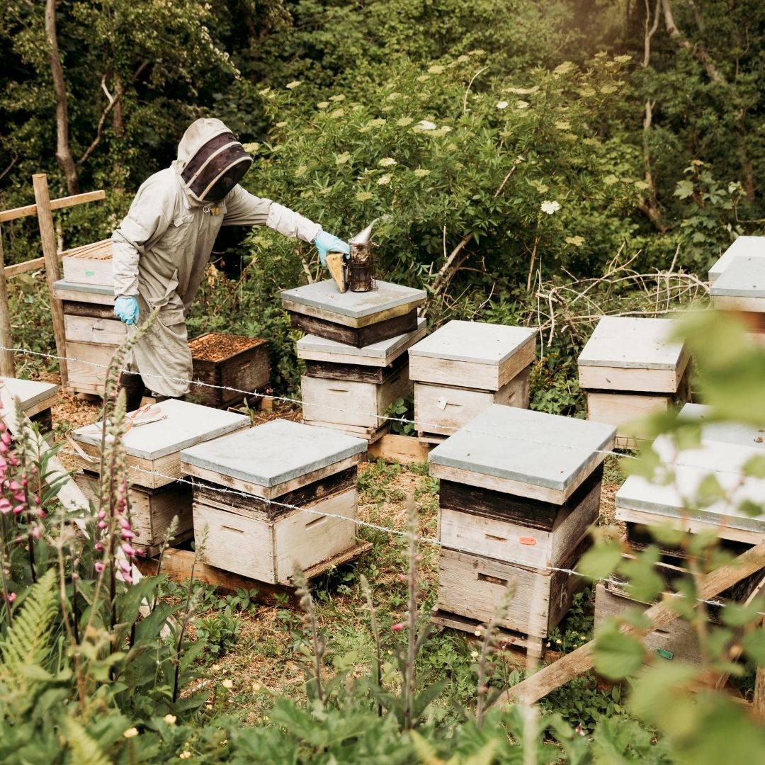 Old Farm Honey 250G