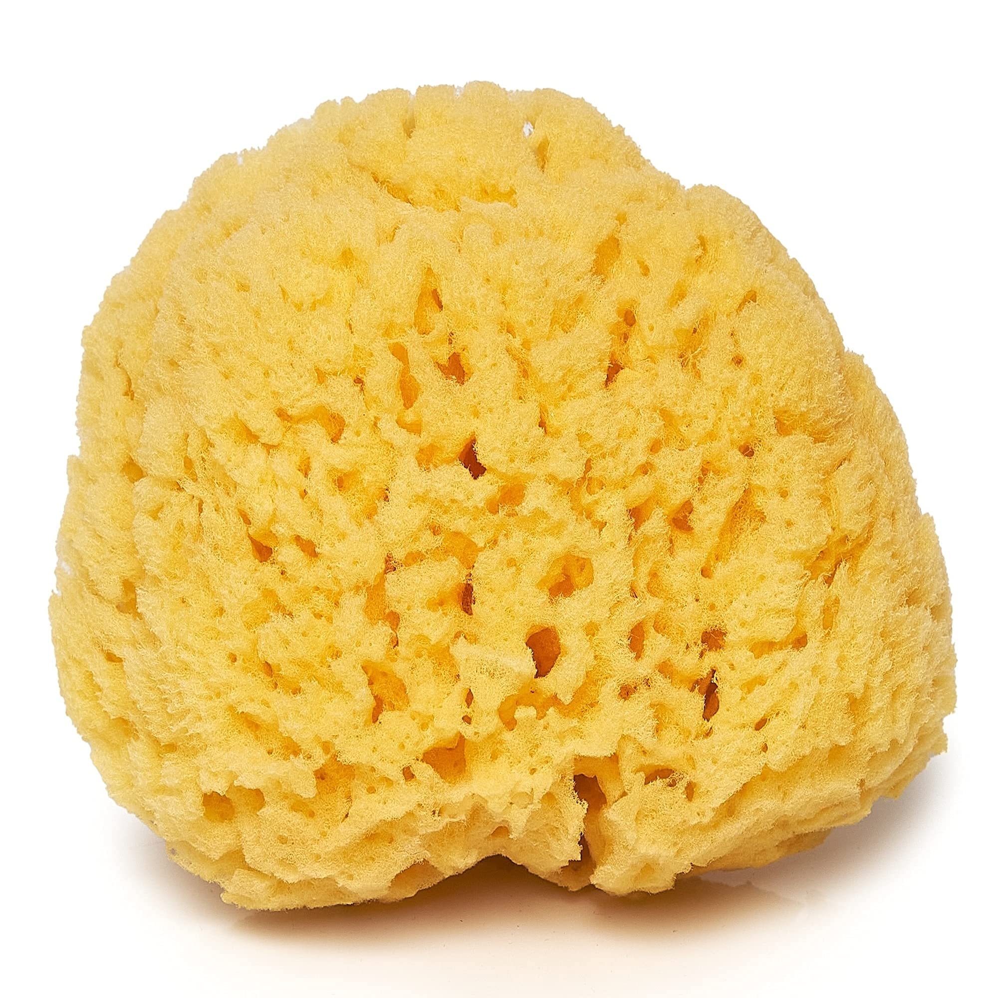 Ordinary Bath Sponge