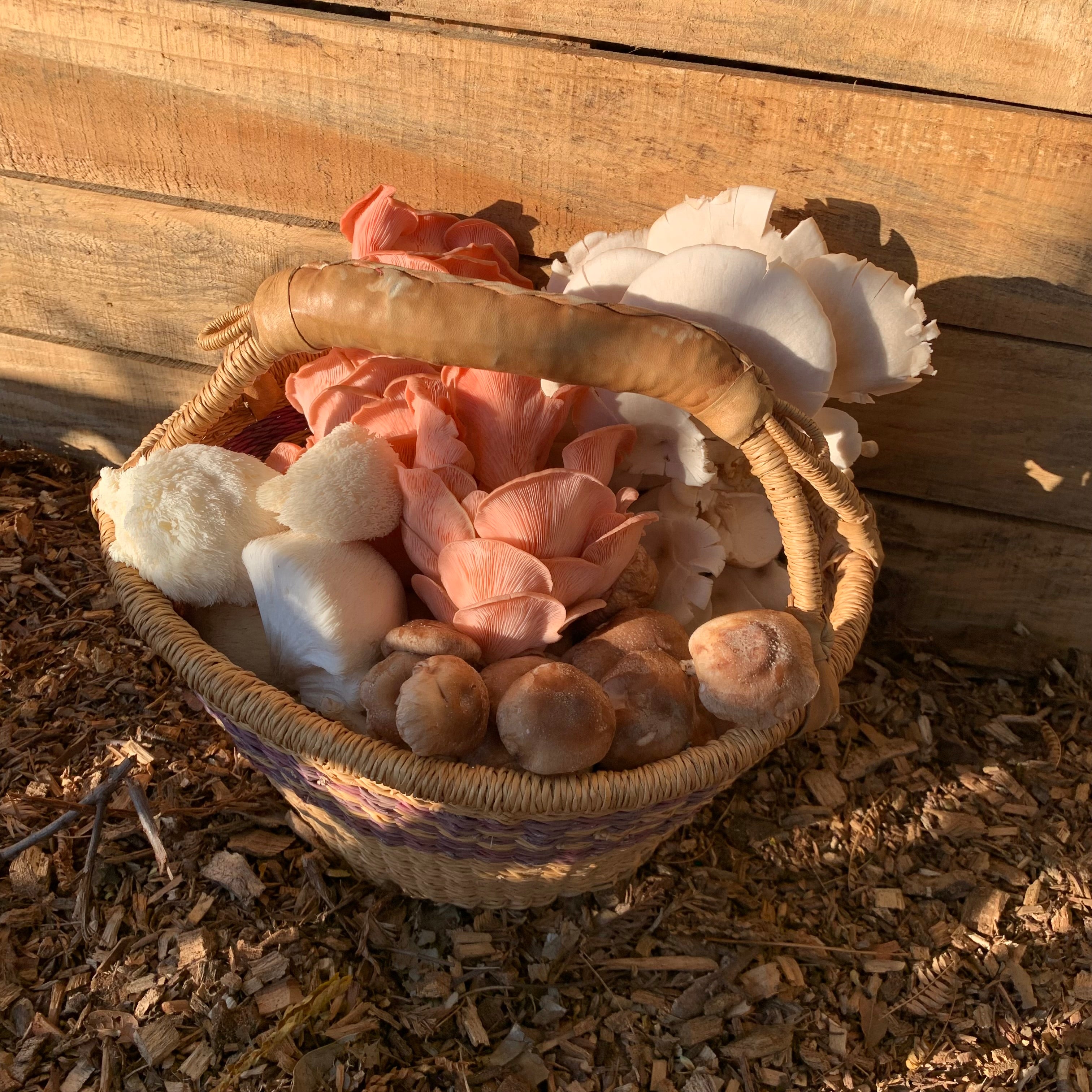 Santa Maria Mushrooms Pieces&Stems 360G