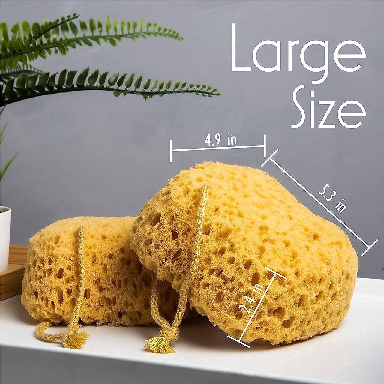 Bathing Sponge Big Size
