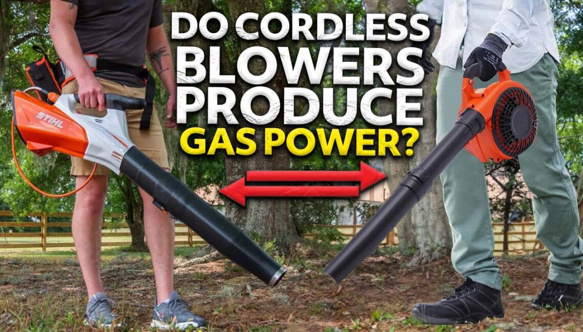 Blower Stick Big