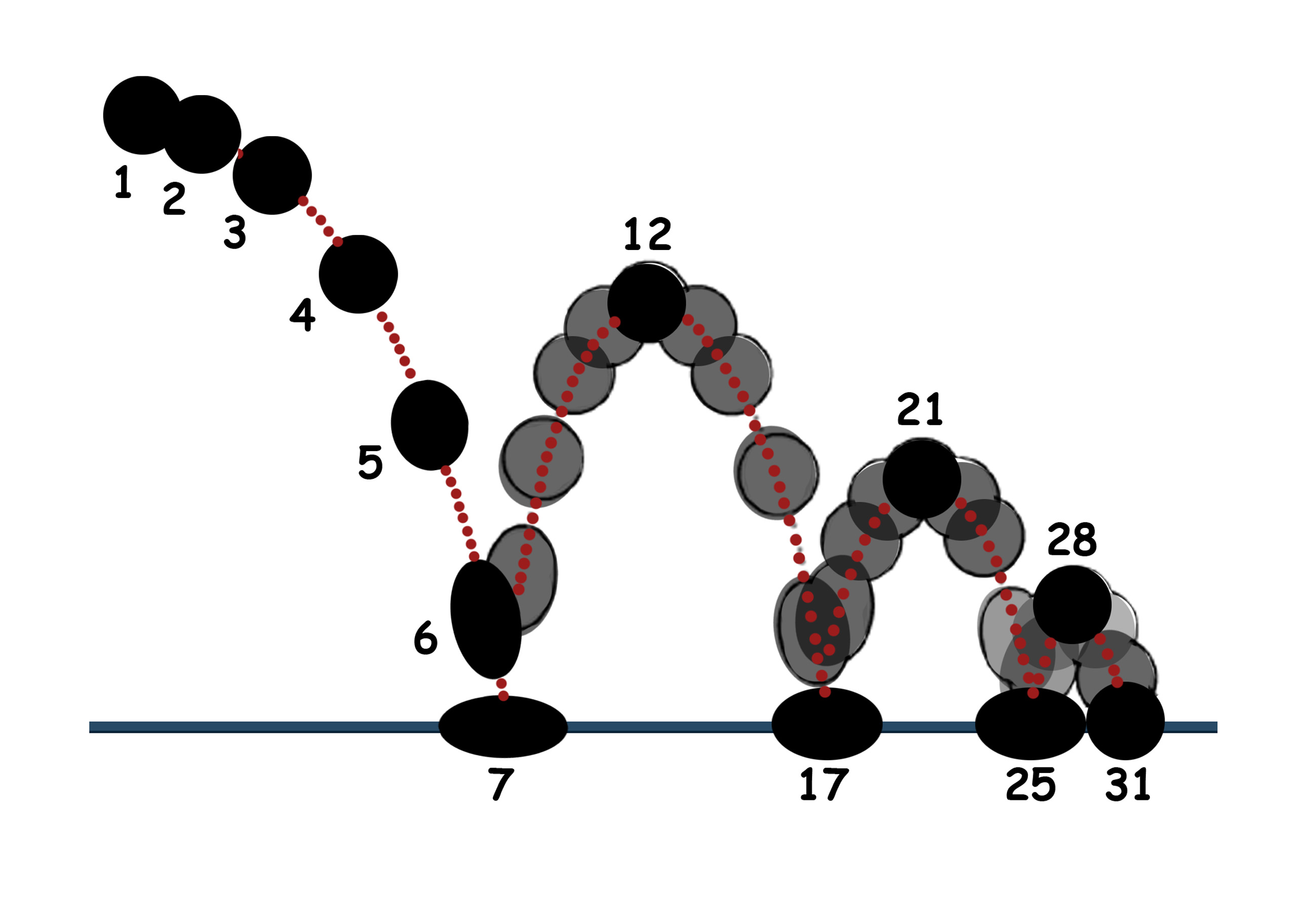 Bouncing Ball