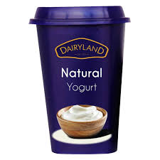 Dairyland Natural Yogurt 550G
