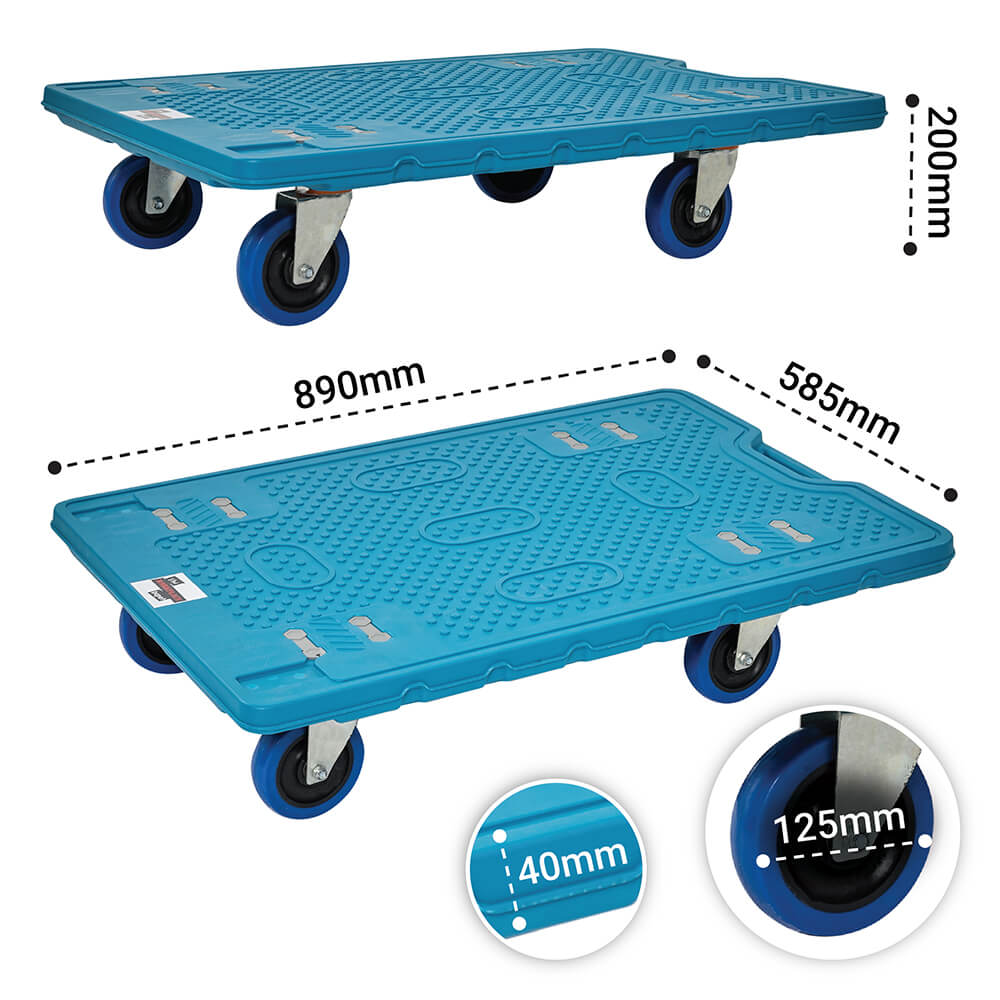 Dolly Medium Size