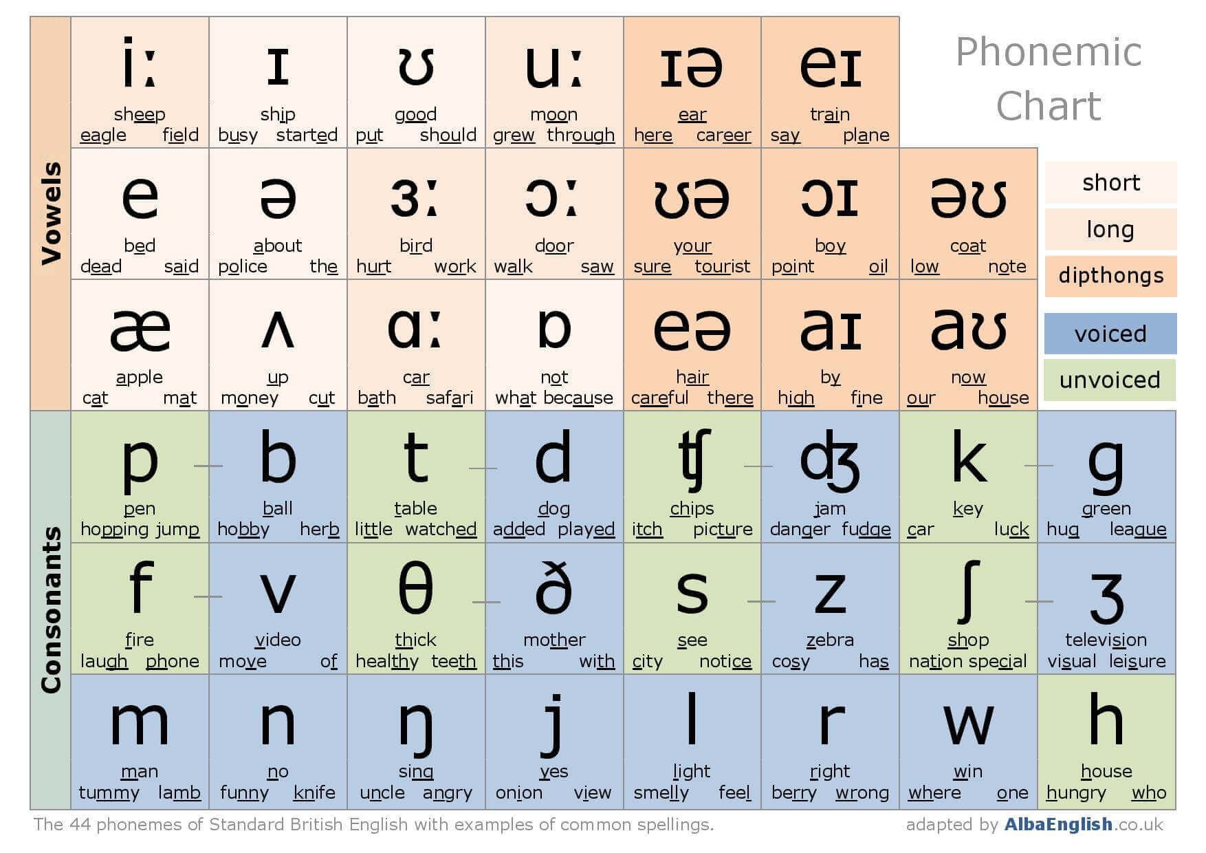 English Phonetic Chart No.8831