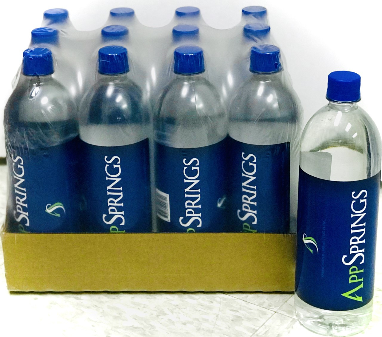 Eversprings Drinking Water 1Ltr Case