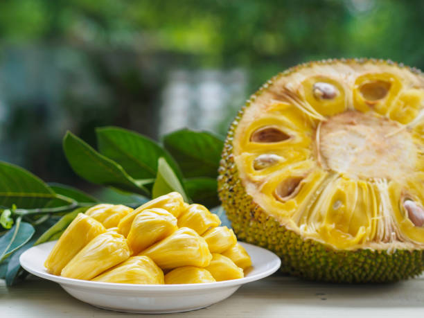 Fresh Jack Fruit/Cane