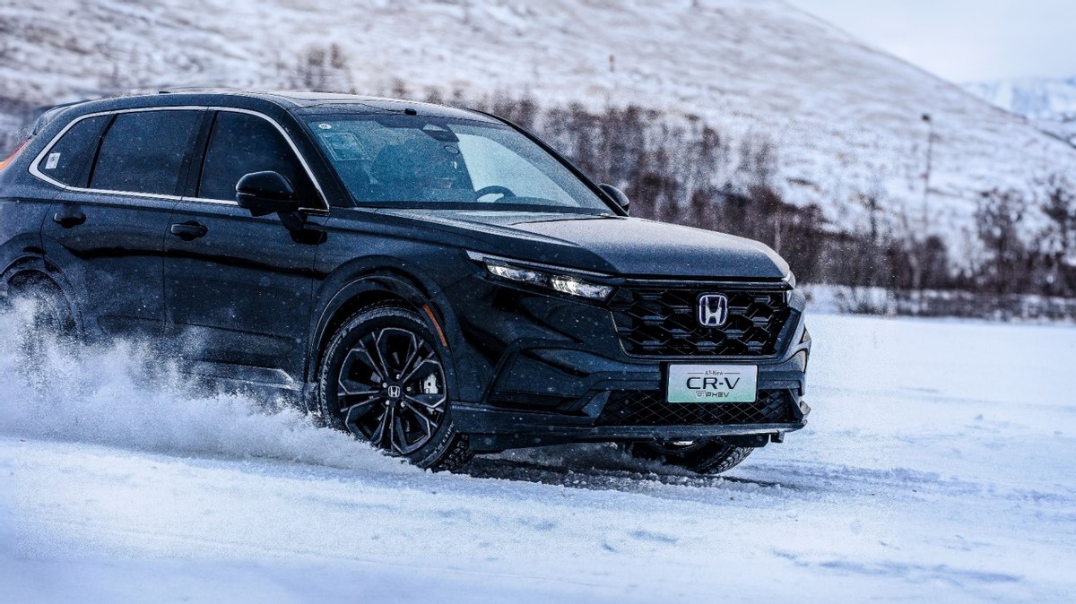 Fuxiang Pliars Cr-V