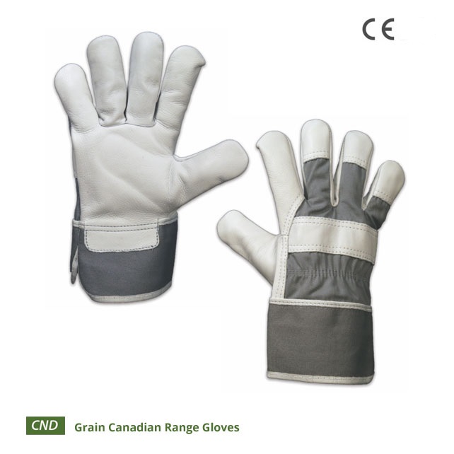 Monsai Gloves Whole 25Gms