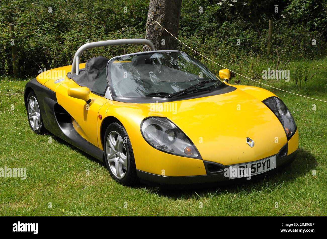 Spider Spring Car