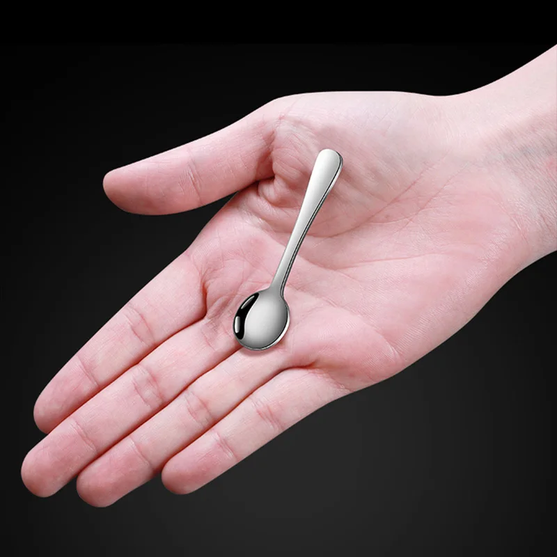 Stainless Steel Spoon Small W/Handle
