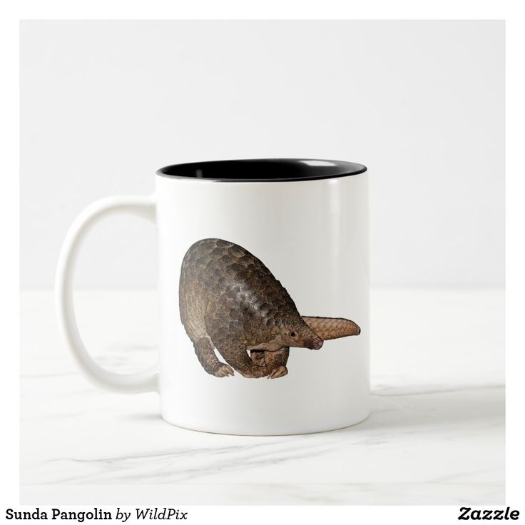 Sunda Kaulo D/C Mug Long Pcs