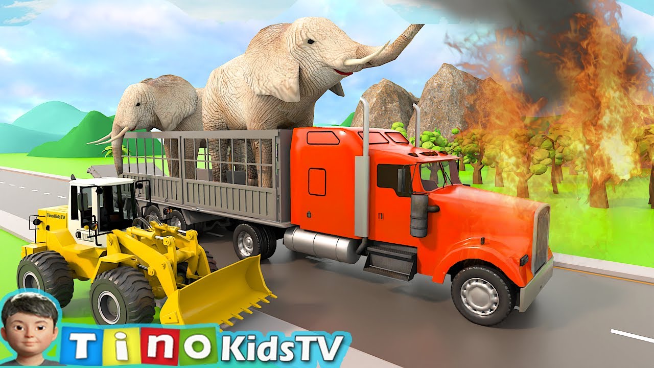 Truck Animal Congtruction