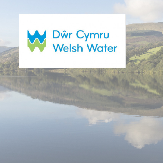 Welsh Drinking Water 1L Case