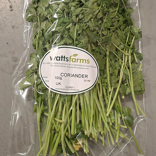 Yankee Corriander Pwd 100G Pkt