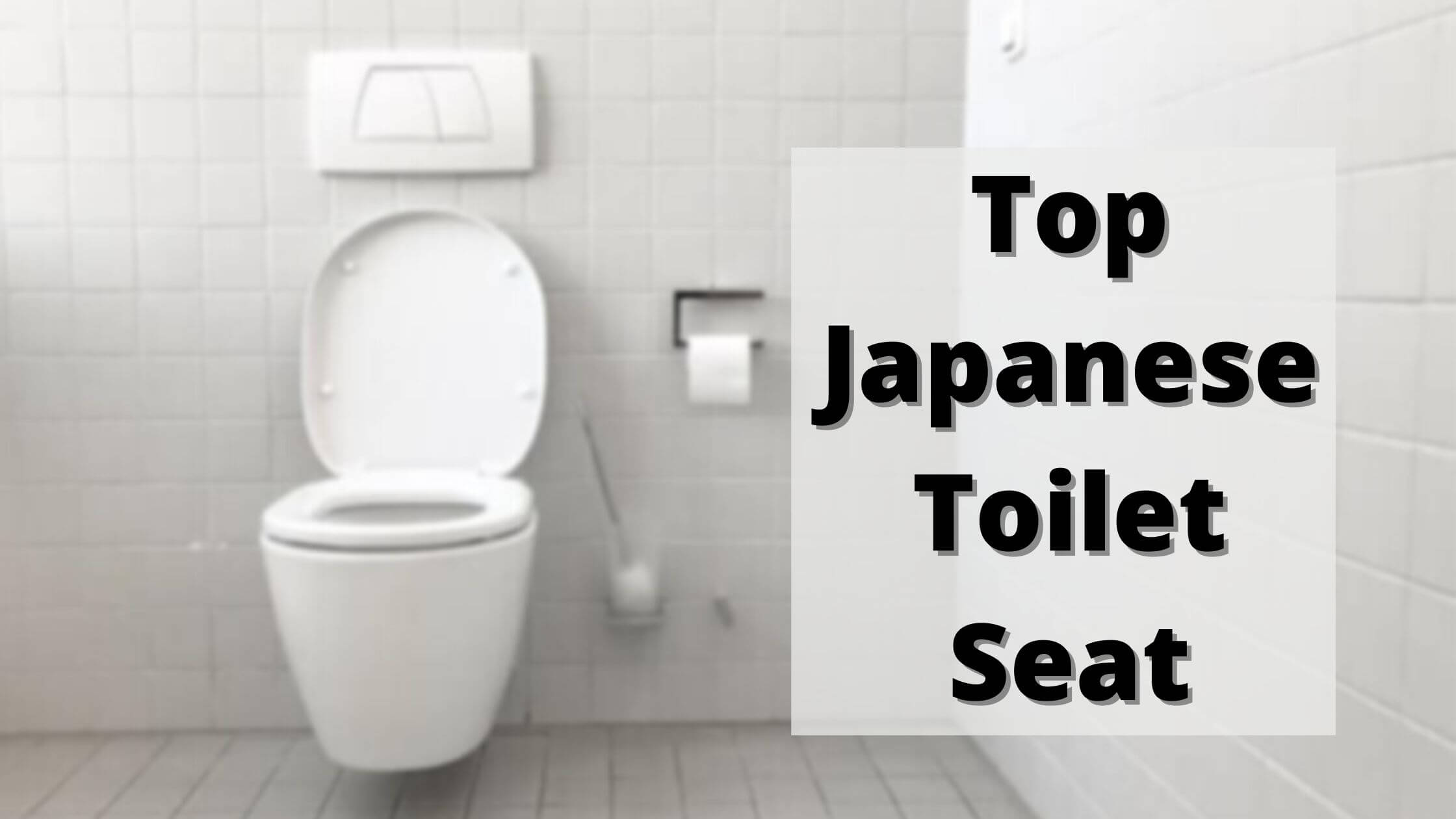 Soap Toilet Imp-Leath Japan Spa 175G 2+1