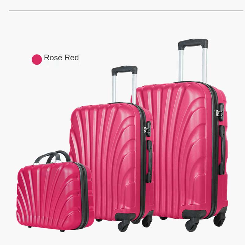 Suitcase Bag Small Ordinary