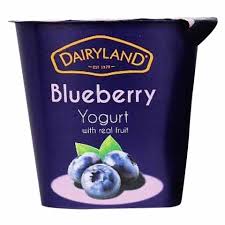 Dairyland Blueberry Yogurt 150G