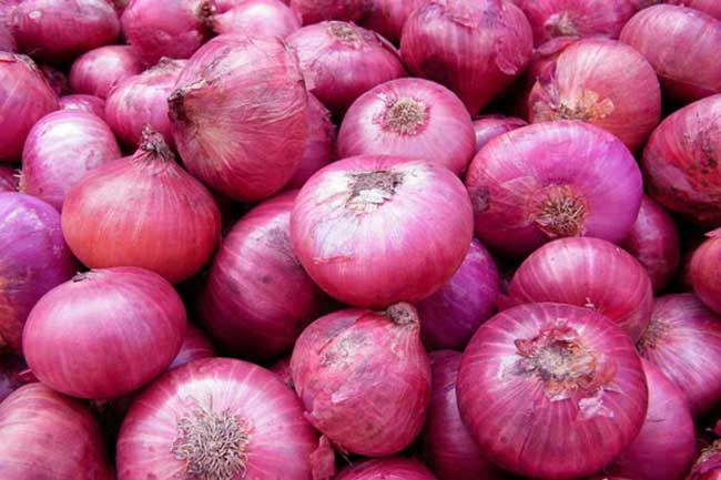 Onion Big